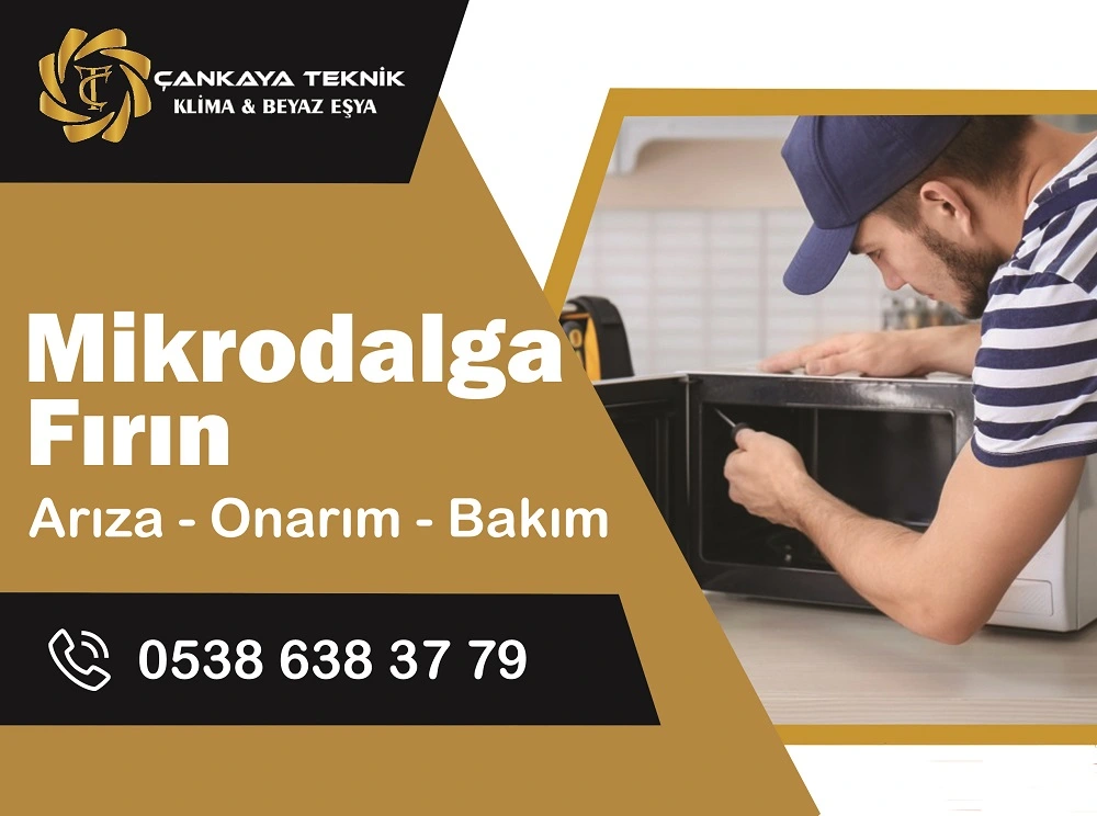 Mikrodalga Fırın